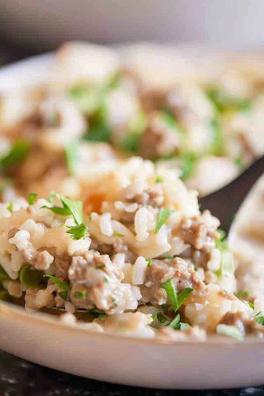 Easy Beef Stroganoff with Rice and Cheese