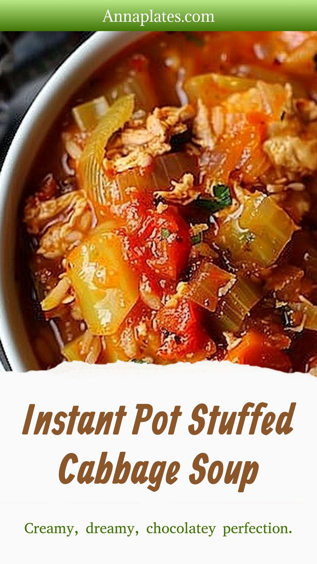 Instant Pot Stuffed Cabbage Soup