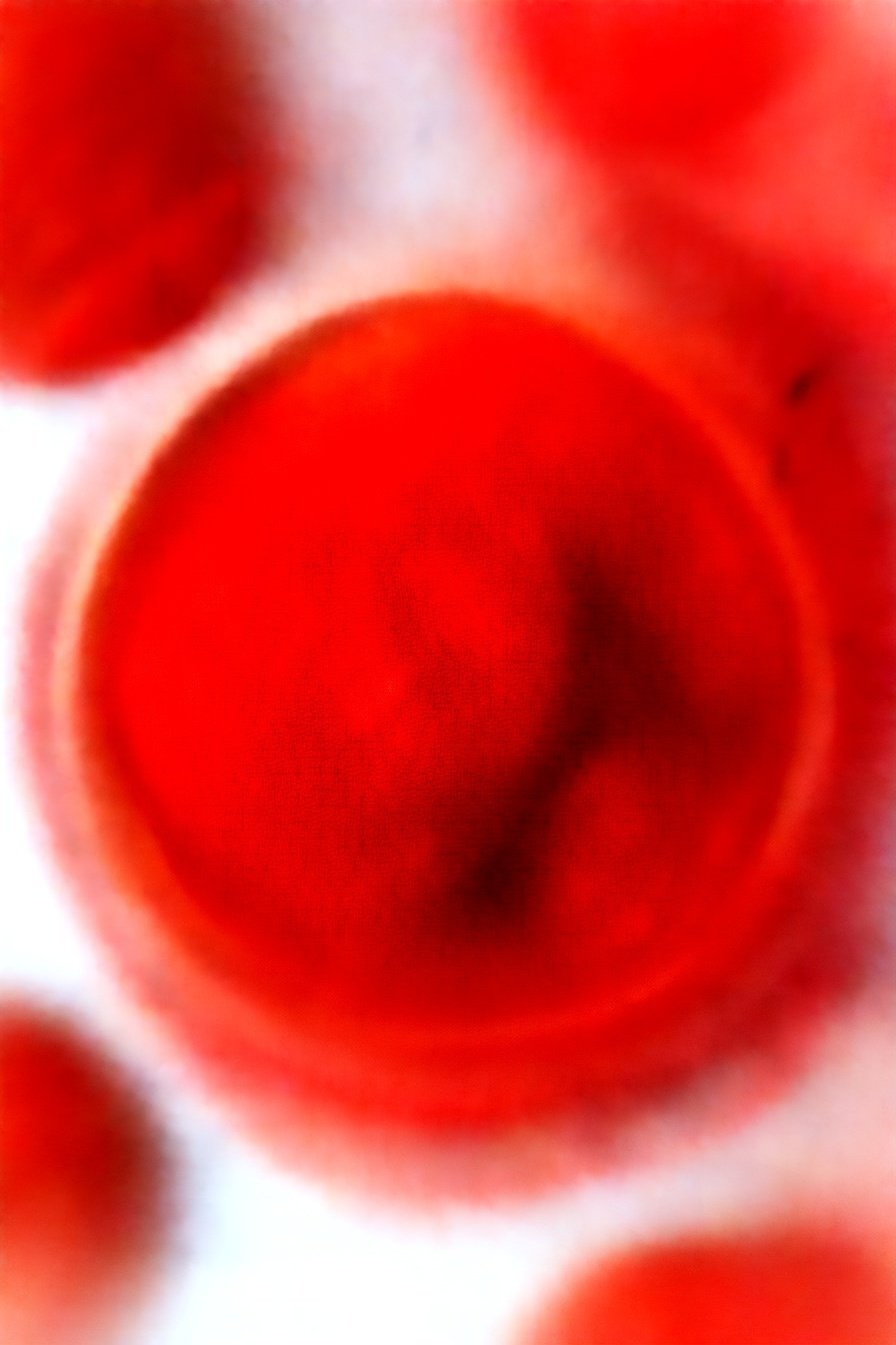 Chocolate Peppermint Cookies