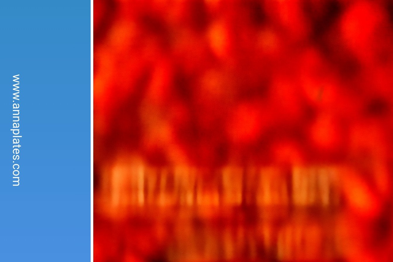 Slow Cooker Mexican Spiced Almonds: Crispy golden perfection