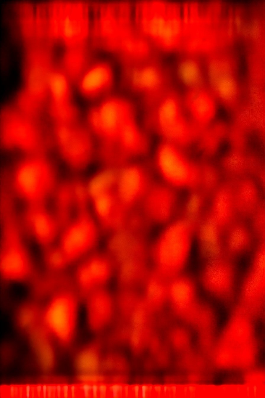 Slow Cooker Mexican Spiced Almonds