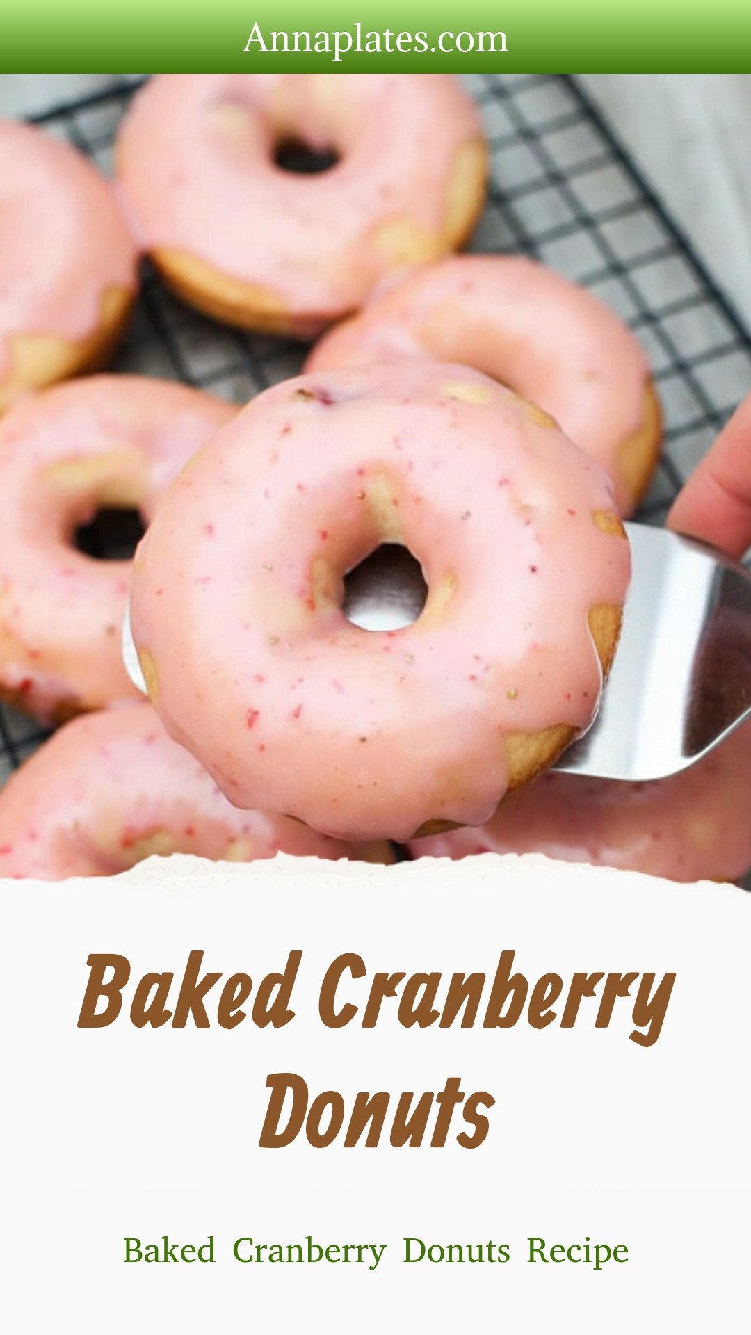 Baked Cranberry Donuts