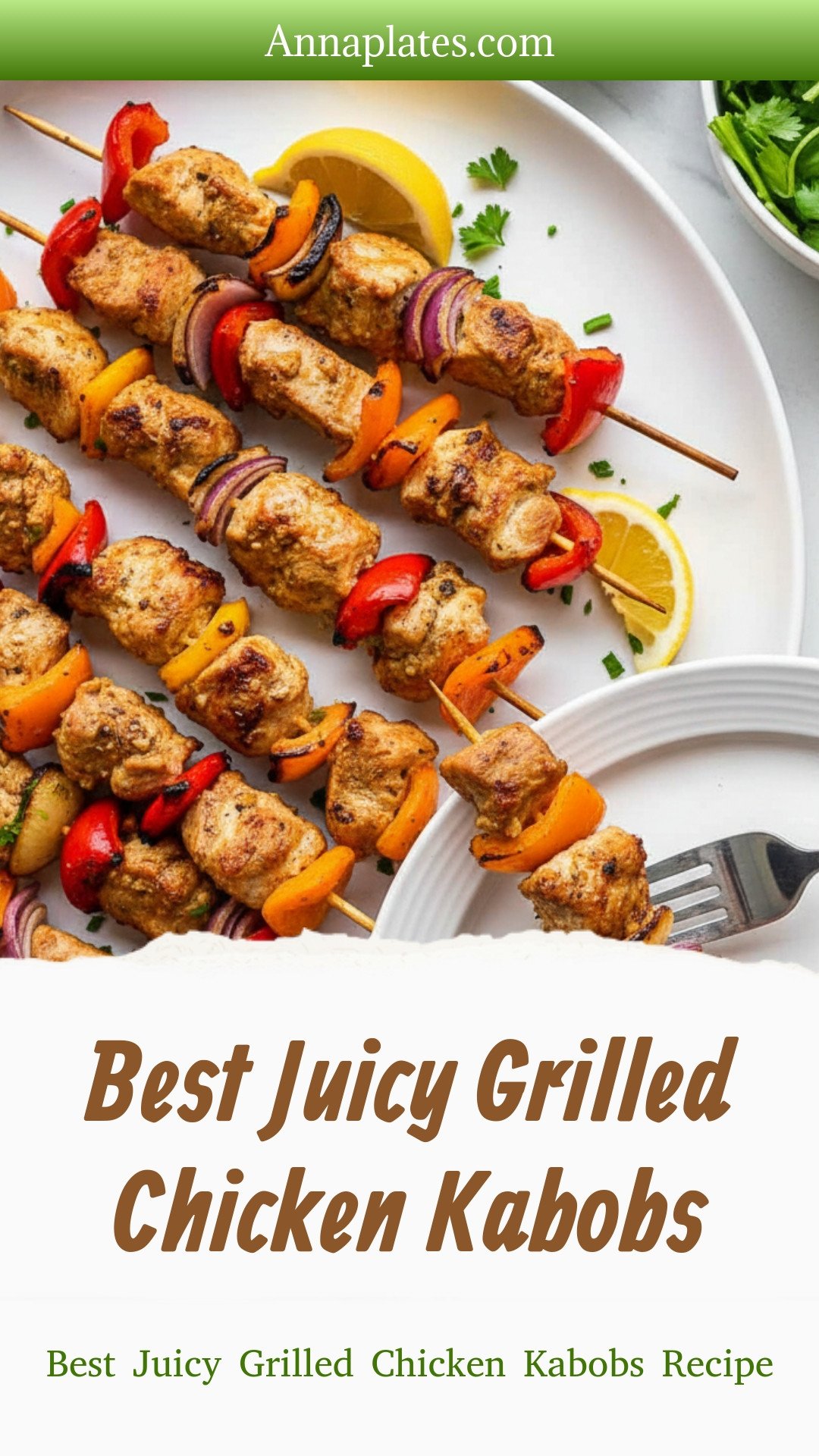Best Juicy Grilled Chicken Kabobs