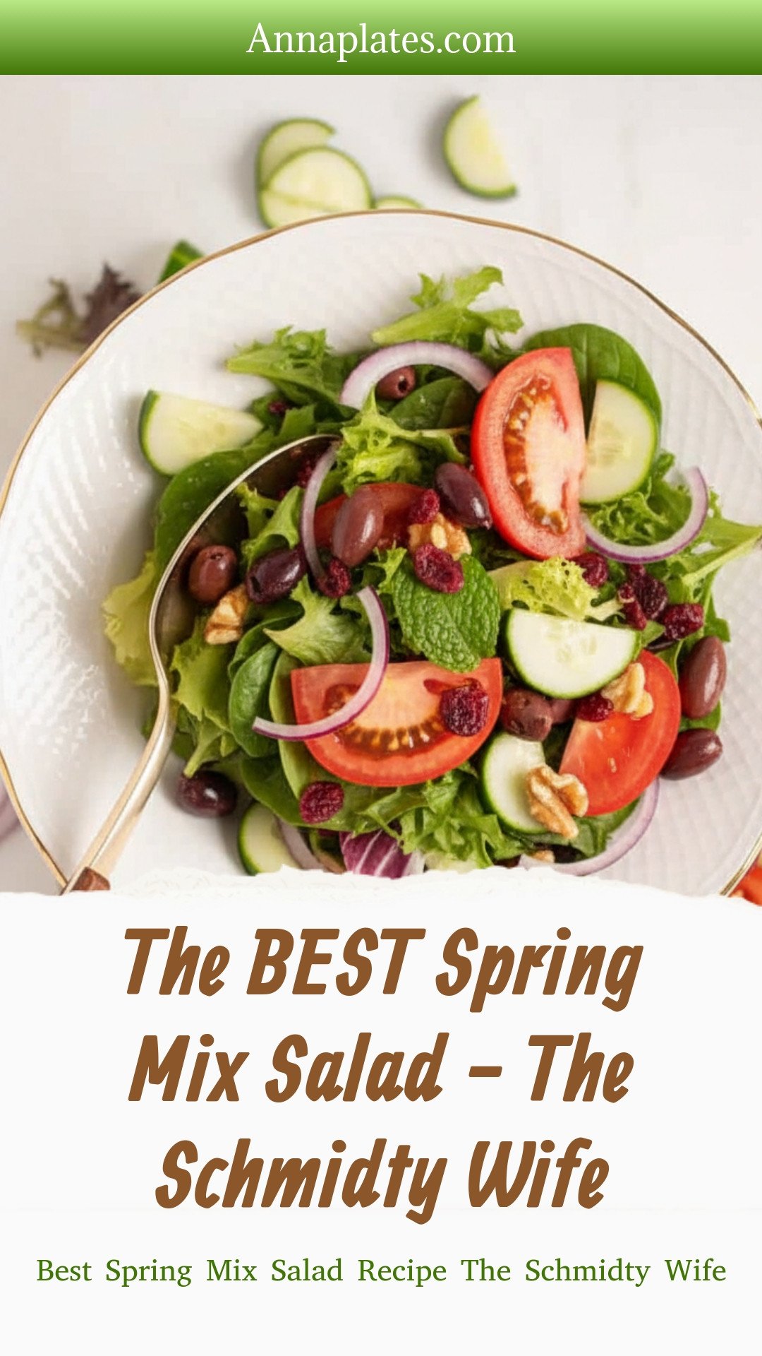 The BEST Spring Mix Salad - The Schmidty Wife