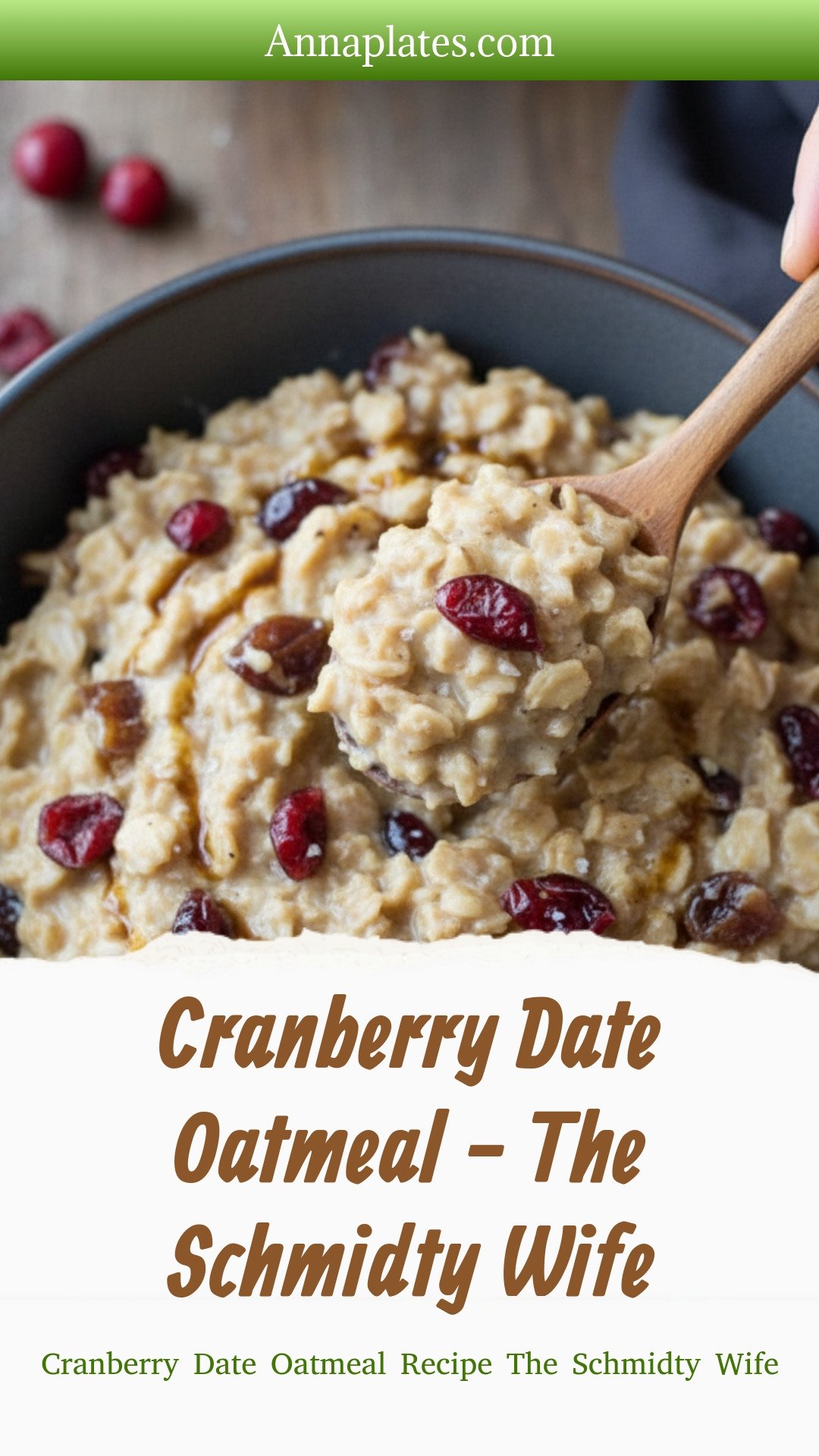 Cranberry Date Oatmeal - The Schmidty Wife