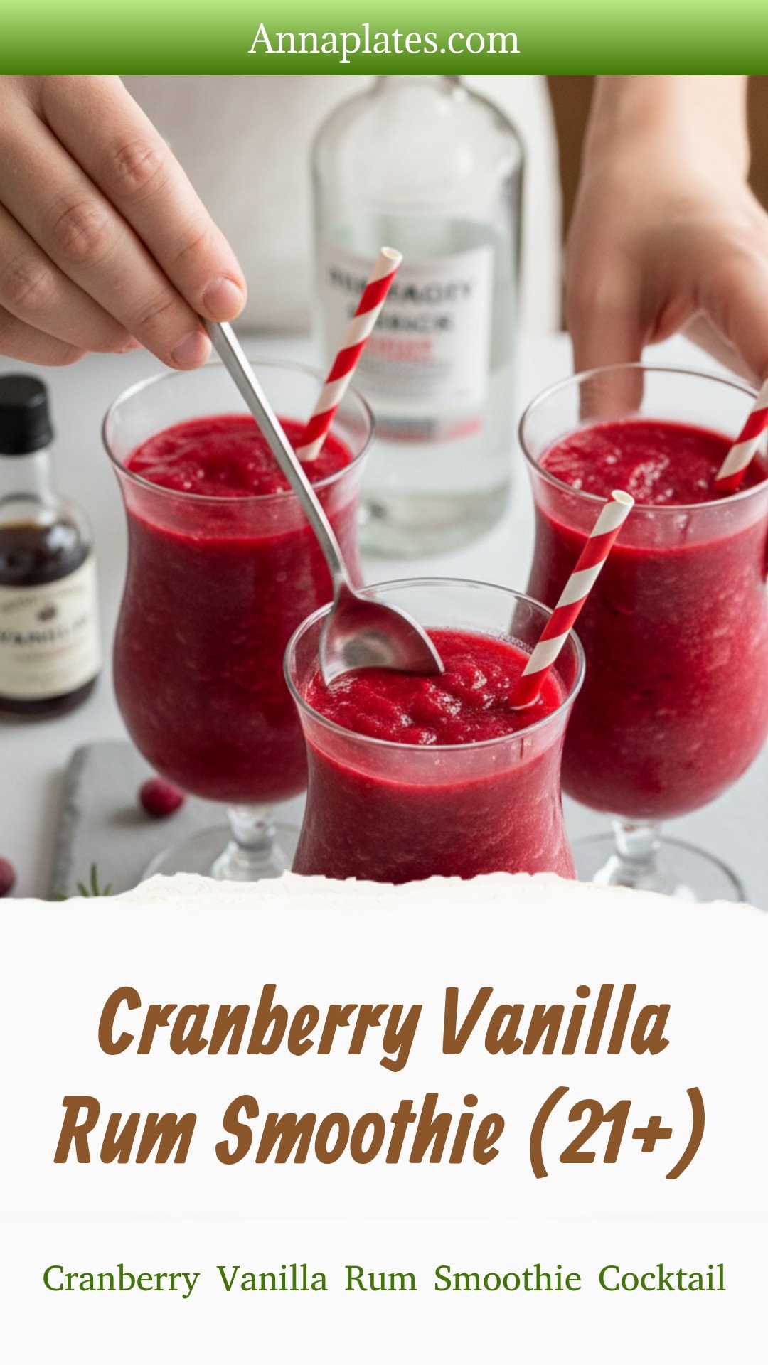 Cranberry Vanilla Rum Smoothie (21+)