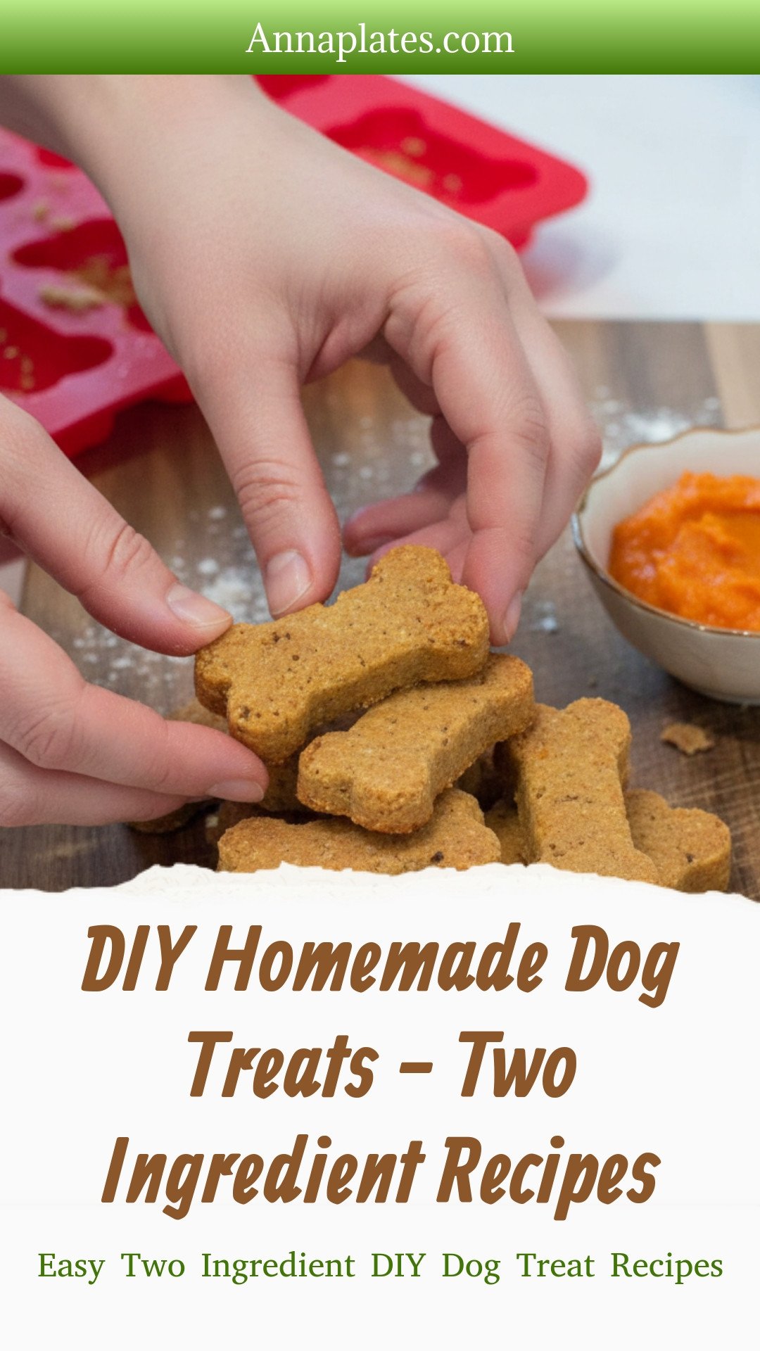 DIY Homemade Dog Treats - Two Ingredient Recipes