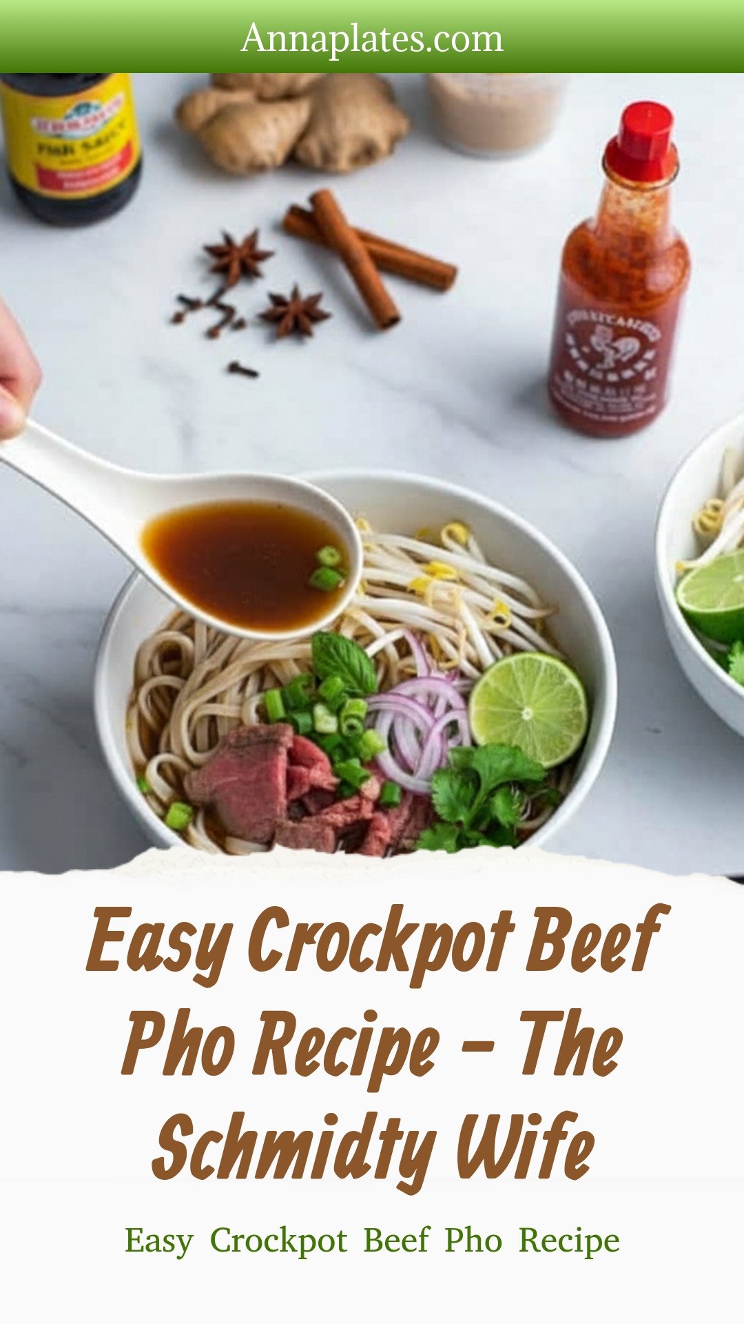 Easy Crockpot Beef Pho Recipe - The Schmidty Wife