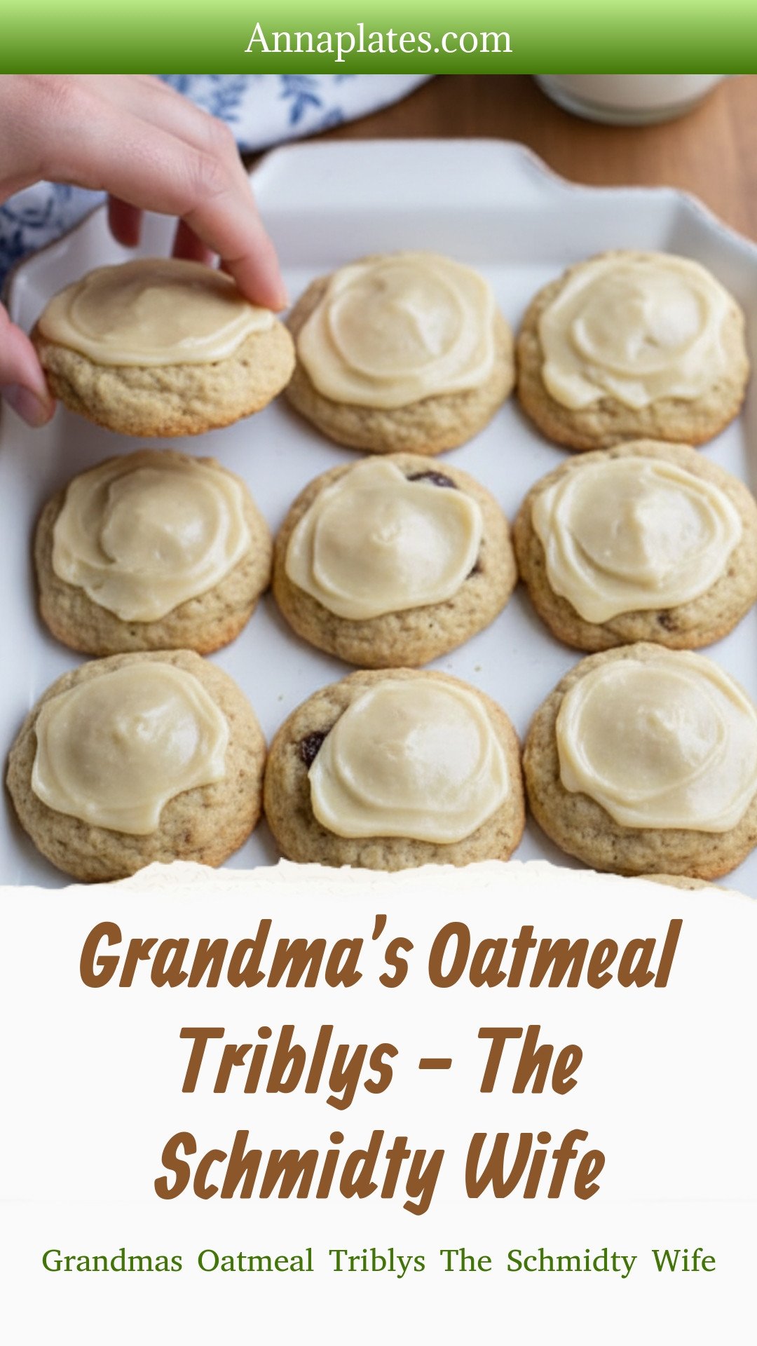 Grandma's Oatmeal Triblys - The Schmidty Wife