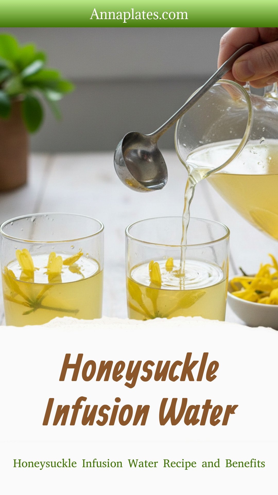 Honeysuckle Infusion Water