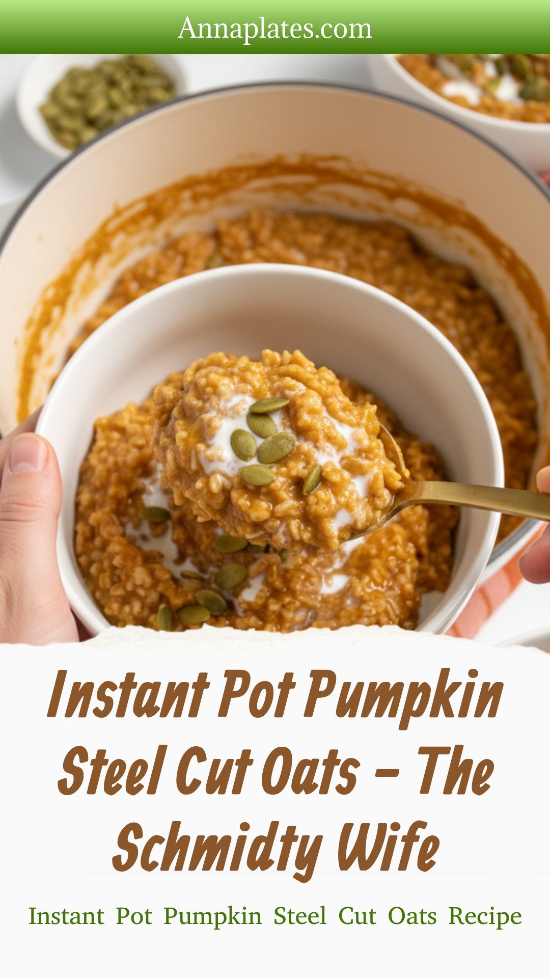Instant Pot Pumpkin Steel Cut Oats - The Schmidty Wife