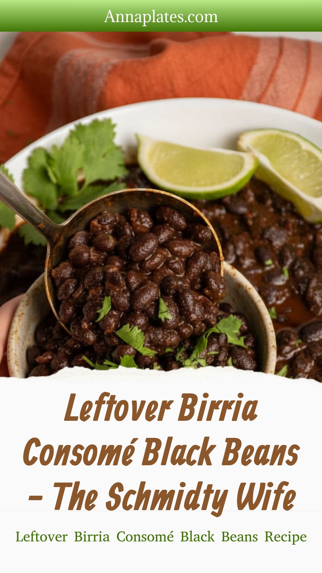 Leftover Birria Consomé Black Beans - The Schmidty Wife