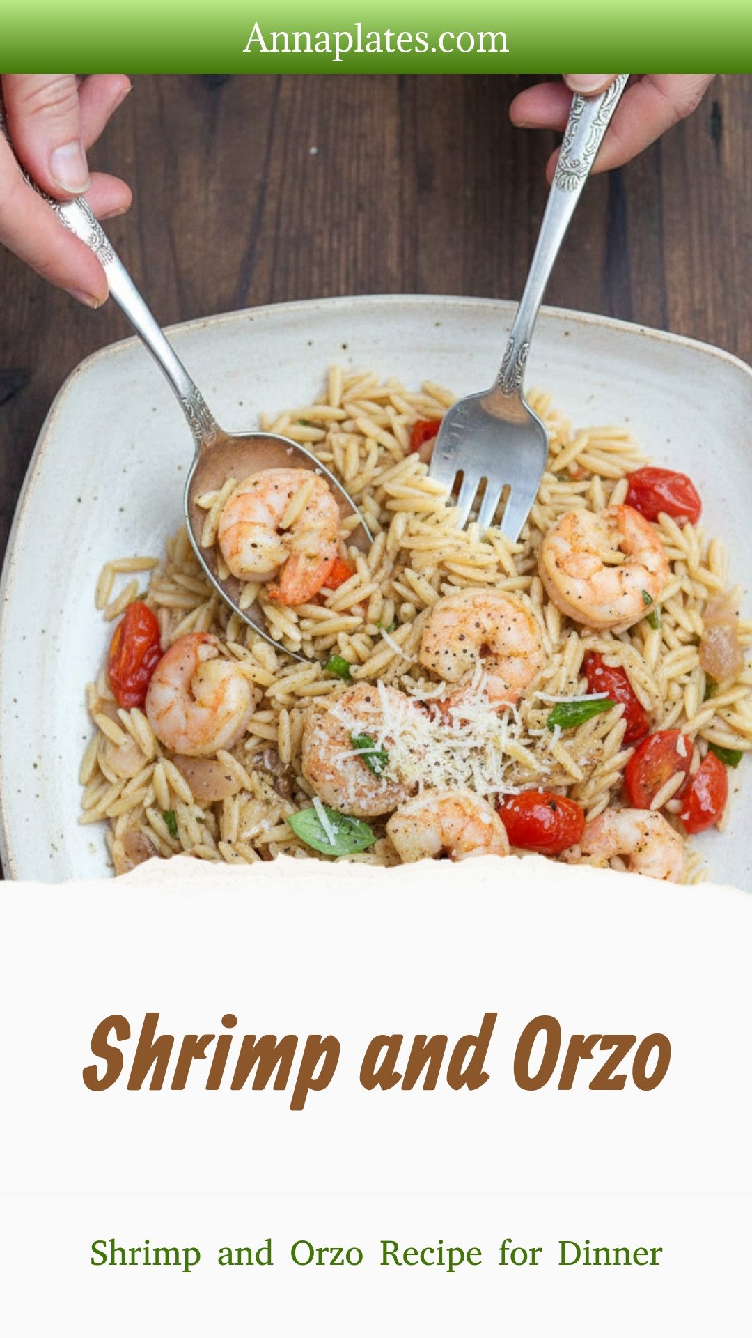 Shrimp and Orzo