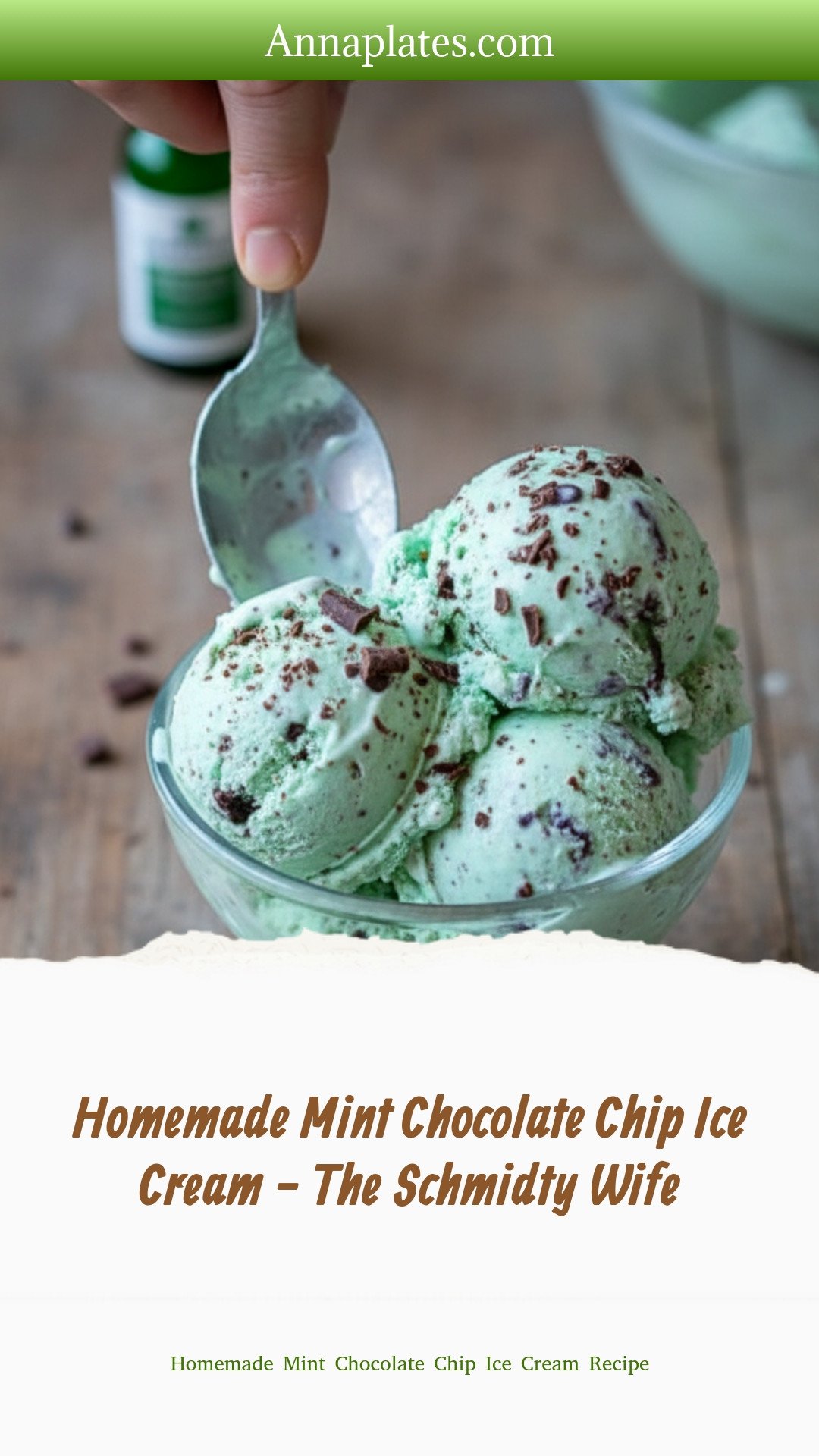 Homemade Mint Chocolate Chip Ice Cream - The Schmidty Wife