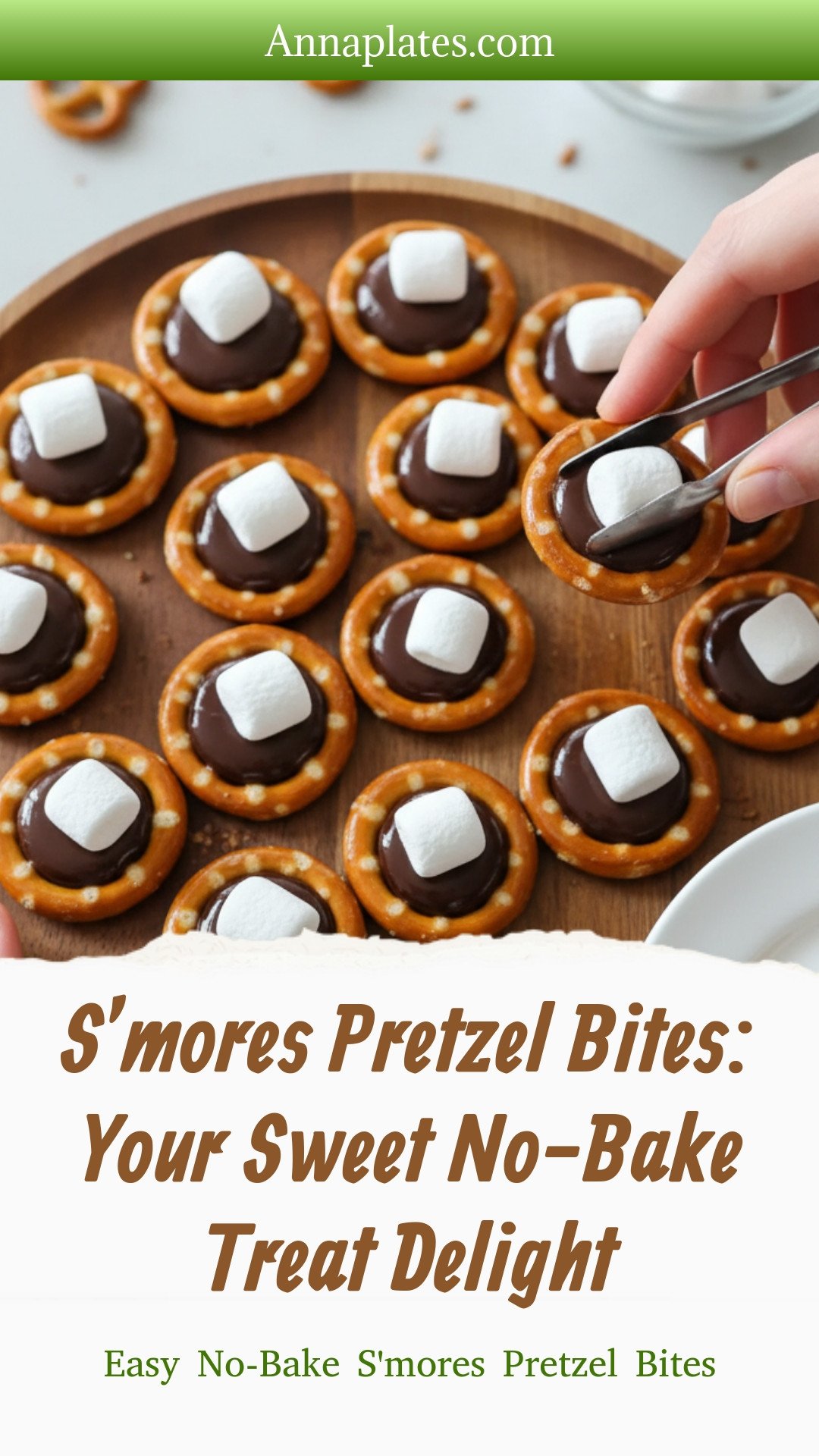 Easy No-Bake S'mores Pretzel Bites