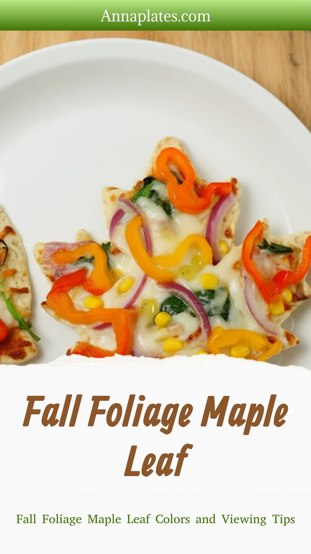 Fall Foliage Maple Leaf Colors and Viewing Tips