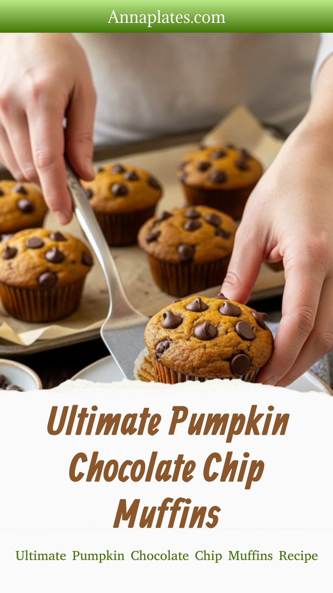 Ultimate Pumpkin Chocolate Chip Muffins Recipe